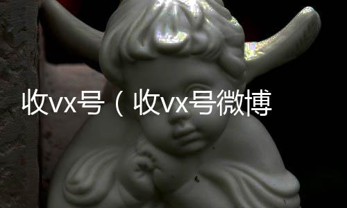 收vx号24小时收微信（收vx号微博）